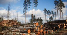 森林采伐更新管理办法2021修订【全文】