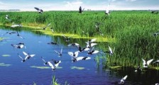 2021年淮安市湿地保护条例全文