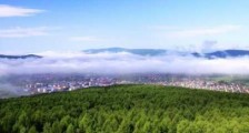 2021湖北省林业管理办法修正【全文】