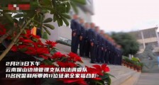 云南11名缉毒警和徒弟侧身合影，勋章闪耀，他们为何不露脸？