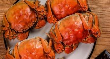 吃完螃蟹，葡萄就在眼前？美食冒险等你来！