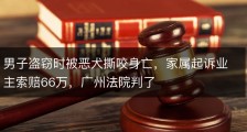 男子盗窃时被恶犬撕咬身亡，家属起诉业主索赔66万，广州法院判了