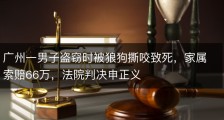 广州一男子盗窃时被狼狗撕咬致死，家属索赔66万，法院判决申正义