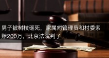 男子被树枝砸死，家属向管理员和村委索赔200万，北京法院判了