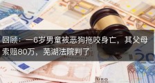 回顾：一6岁男童被恶狗拖咬身亡，其父母索赔80万，芜湖法院判了