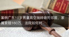 案例广东10岁男童高空抛砖砸死邻居，家属索赔160万，法院如何判
