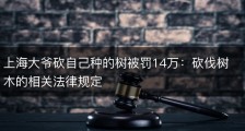 上海大爷砍自己种的树被罚14万：砍伐树木的相关法律规定