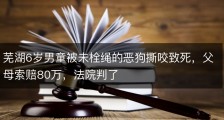 芜湖6岁男童被未栓绳的恶狗撕咬致死，父母索赔80万，法院判了