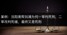 案例：沈阳黑帮刘涌为何一审判死刑，二审改判死缓，最终又是死刑