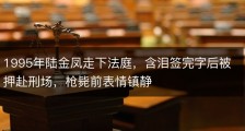 1995年陆金凤走下法庭，含泪签完字后被押赴刑场，枪毙前表情镇静