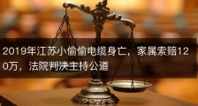 2019年江苏小偷偷电缆身亡，家属索赔120万，法院判决主持公道