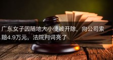 广东女子因随地大小便被开除，向公司索赔4.9万元，法院判词亮了