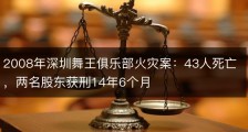 2008年深圳舞王俱乐部火灾案：43人死亡，两名股东获刑14年6个月