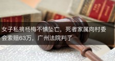 女子私摘杨梅不慎坠亡，死者家属向村委会索赔63万，广州法院判了
