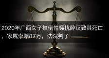 2020年广西女子推倒性骚扰醉汉致其死亡，家属索赔87万，法院判了