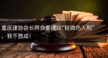 重庆律协会长两会委建议“轻微伤入刑”，我不赞成！