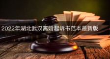 2022年湖北武汉离婚起诉书范本最新版