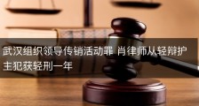 武汉组织领导传销活动罪 肖律师从轻辩护主犯获轻刑一年