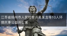 江苏省扬州市人民检察诉高某龙等10人环境民事公益诉讼案