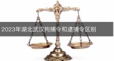 2023年湖北武汉拘捕令和逮捕令区别