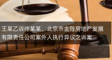 王某乙诉徐某某、北京市金陛房地产发展有限责任公司案外人执行异议之诉案