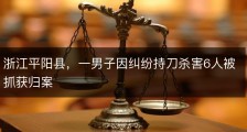 浙江平阳县，一男子因纠纷持刀杀害6人被抓获归案