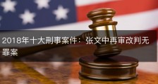2018年十大刑事案件：张文中再审改判无罪案