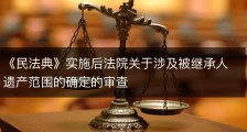 《民法典》实施后法院关于涉及被继承人遗产范围的确定的审查