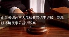 山东省烟台市人民检察院诉王振殿、马群凯环境民事公益诉讼案