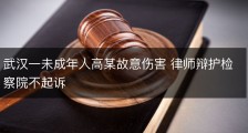 武汉一未成年人高某故意伤害 律师辩护检察院不起诉