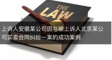 上诉人安徽某公司因与被上诉人北京某公司买卖合同纠纷一案的成功案例