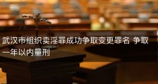武汉市组织卖淫罪成功争取变更罪名 争取一年以内量刑