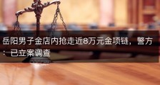 岳阳男子金店内抢走近8万元金项链，警方：已立案调查