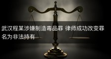 武汉程某涉嫌制造毒品罪 律师成功改变罪名为非法持有