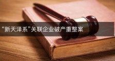 “新天泽系”关联企业破产重整案