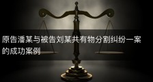 原告潘某与被告刘某共有物分割纠纷一案的成功案例
