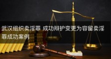 武汉组织卖淫罪 成功辩护变更为容留卖淫罪成功案例
