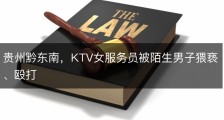 贵州黔东南，KTV女服务员被陌生男子猥亵、殴打