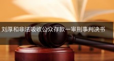 刘厚和非法吸收公众存款一审刑事判决书