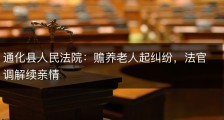 通化县人民法院：赡养老人起纠纷，法官调解续亲情