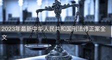 2023年最新中华人民共和国刑法修正案全文