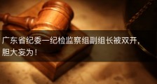 广东省纪委一纪检监察组副组长被双开，胆大妄为！