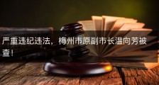 严重违纪违法，梅州市原副市长温向芳被查！