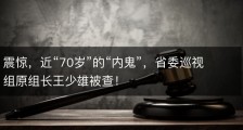 震惊，近“70岁”的“内鬼”，省委巡视组原组长王少雄被查！