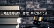 上海危险驾驶罪（醉驾）审判观点汇编