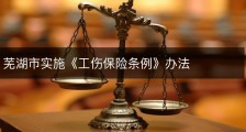 芜湖市实施《工伤保险条例》办法