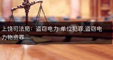 上饶司法局：盗窃电力 单位犯罪,盗窃电力物资罪