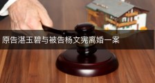 原告湛玉碧与被告杨文宪离婚一案