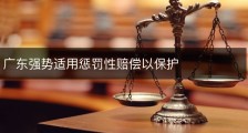 广东强势适用惩罚性赔偿以保护