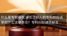 什么是专利侵权,侵犯了别人的专利权应该承担什么法律责任？专利纠纷律师解答
